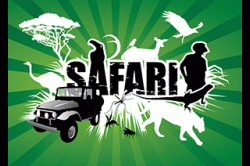 safari_sales_games
